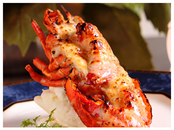 料理の内容、感想は？