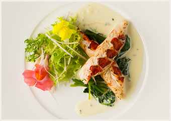 料理の内容、感想は？